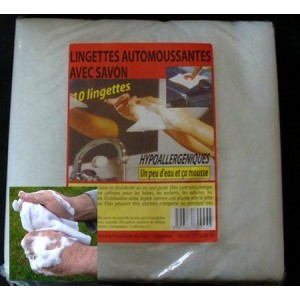 Lingettes automoussantes (10 lingettes)