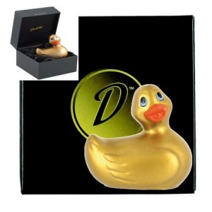 "DUCKIE GOLD" canard vibrant en coffret