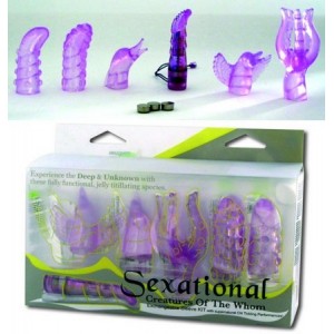 COFFRET KIT VIBRO Sexational